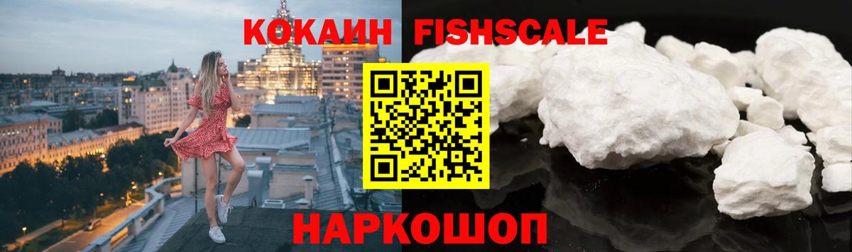 Вичуга  Cocaine Fish Scale  Кокаин Fish Scale  Вход с VPN 