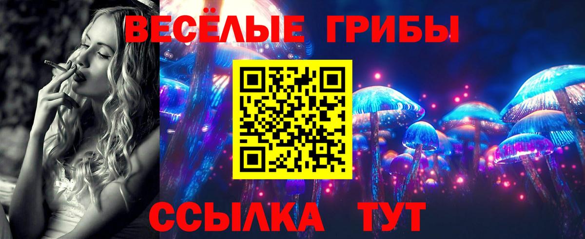 Псилоцибиновые грибы мицелий Вичуга